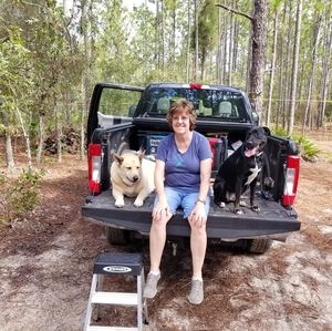 Meet your Posher, Sue